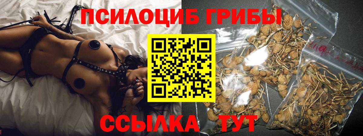 Галлюциногенные грибы Psilocybine cubensis Строитель