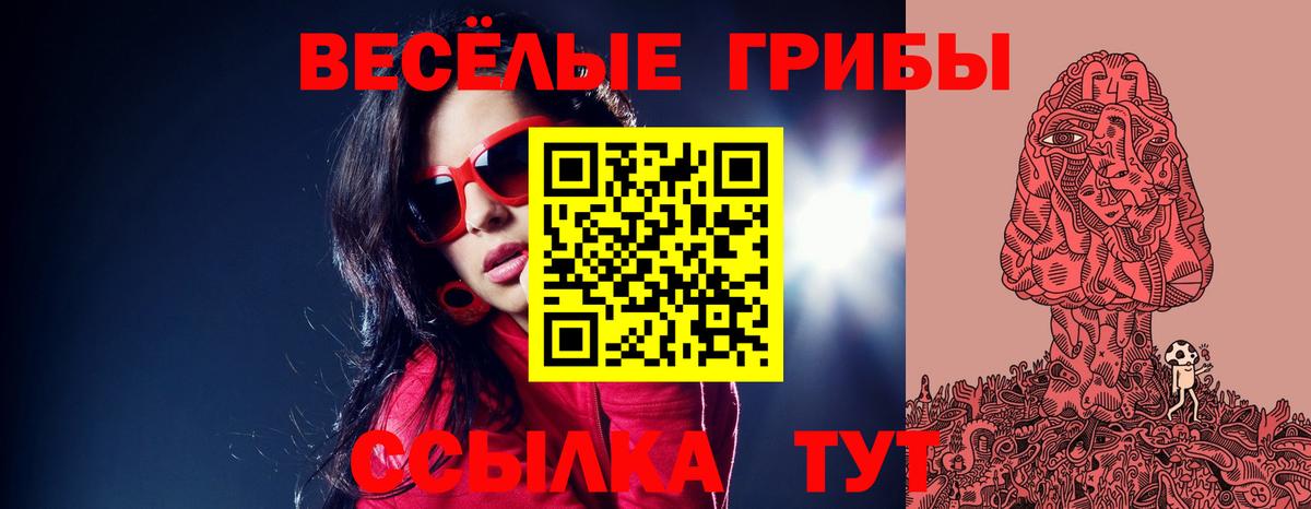 Строитель  Псилоцибиновые грибы Cubensis  Вход с VPN 