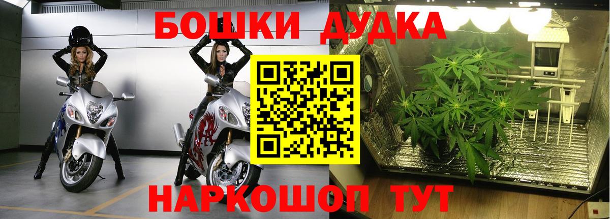 Каннабис White Widow  МАРИХУАНА OG Kush  Строитель  Канабис гибрид  Вход с VPN  Шишки марихуана SATIVA & INDICA 